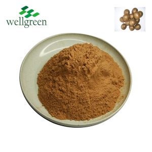 莫格賽德 V 25% 羅漢國提取物粉天然甜味劑