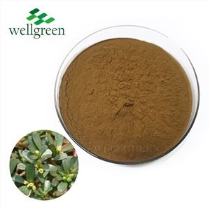 巴科帕蒙尼耶里提取物粉 40% 巴科帕賽德